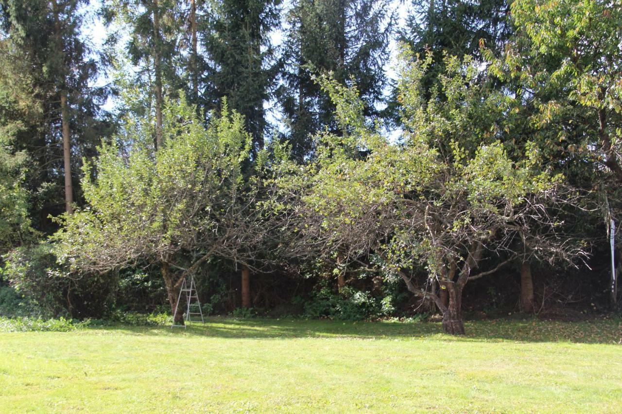 Narrenhaus Villa Fohnsdorf Eksteriør billede